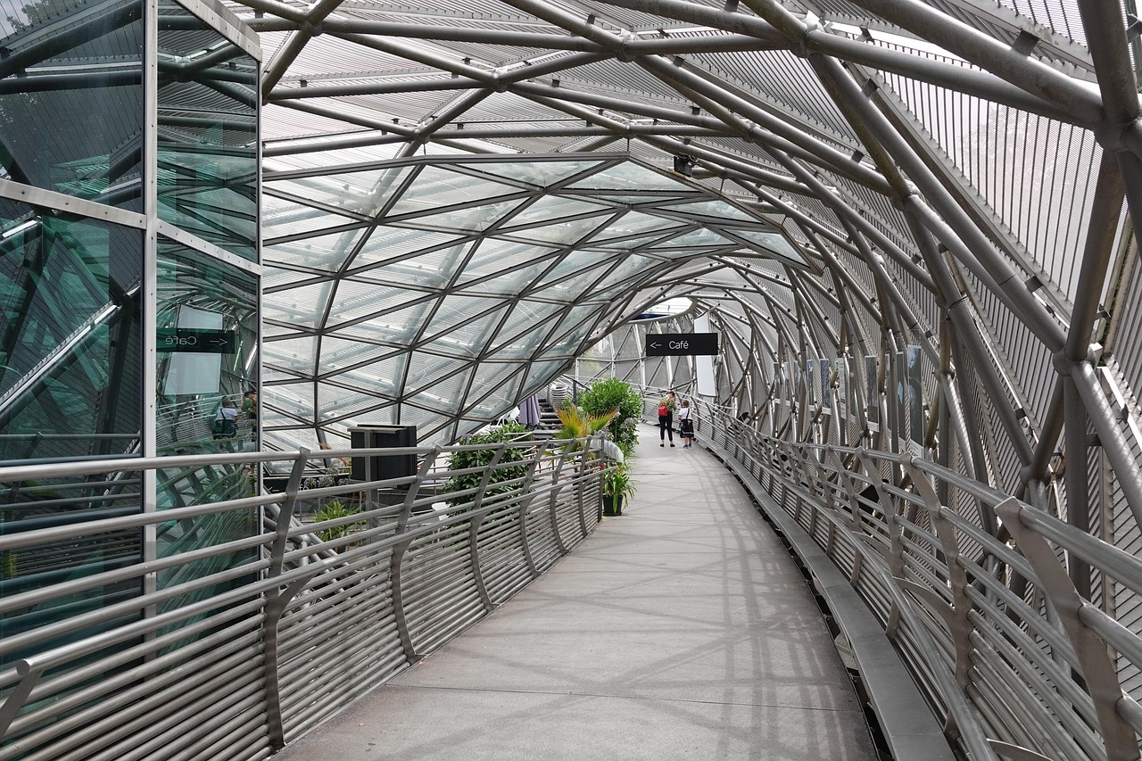 Bridge, tunnel, alley — Coronavirus disease 2019